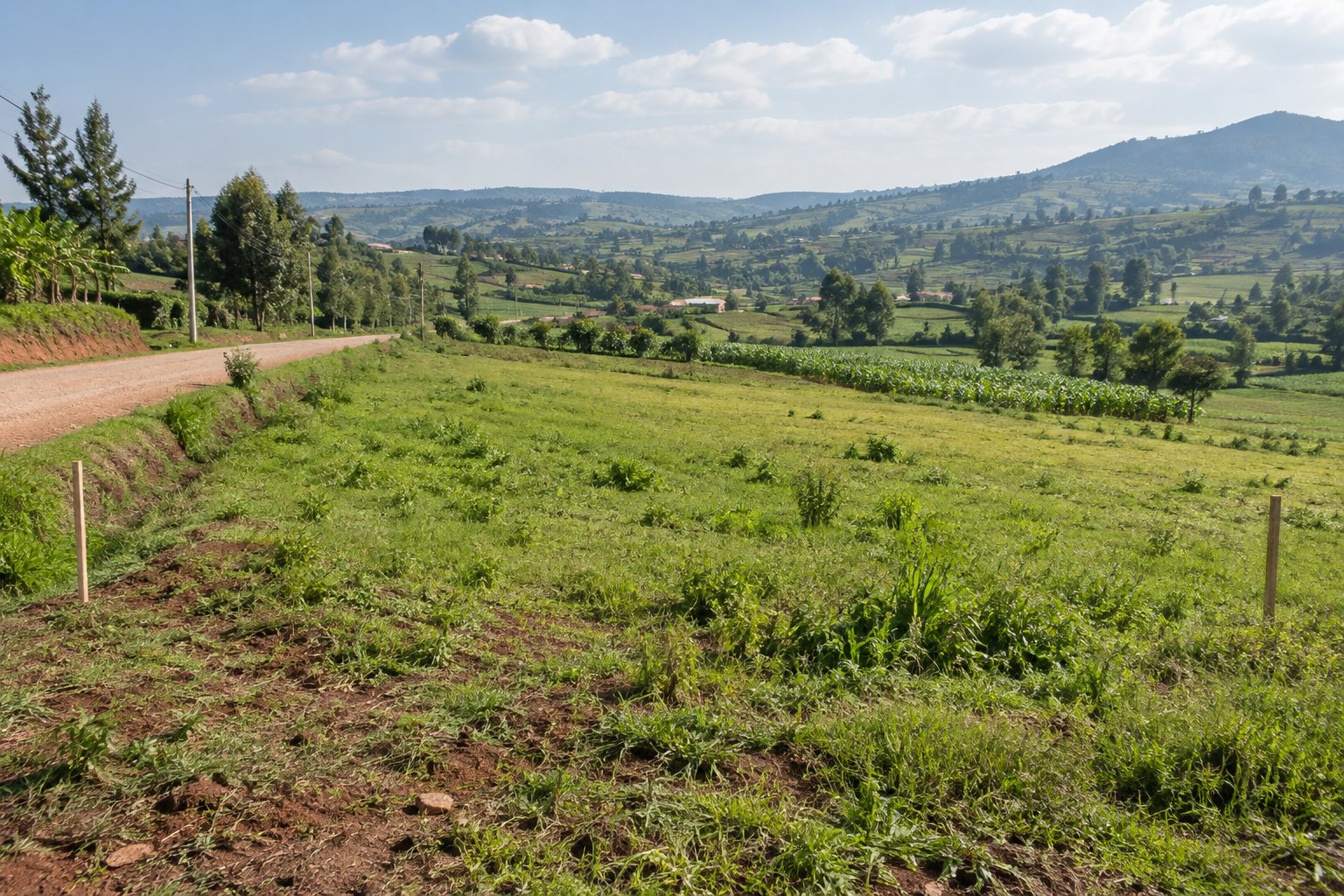 Open Rwandan land beside an access road and cultivated hills